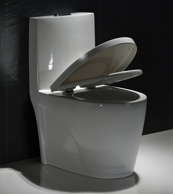 Map1000 Dual-Flush Elongated One-Piece Toilet Seat Included Small Bathroom
